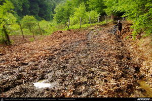 Trasee cu bicicleta MTB XC - Traseu MTB Caciulata - Valea Pausa - Manastirea Stanisoara - Manastirea Turnu - Calimanesti (Parcul National Cozia) de Andrei Vocurek