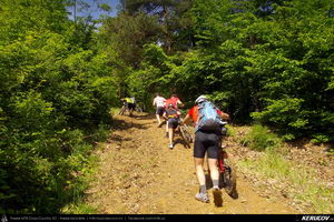 Trasee cu bicicleta MTB XC - Traseu MTB Cozia MTB 2014: Calimanesti - Serbanesti - Seaca - Babuesti - Jiblea Veche (concurs MTB) de Andrei Vocurek