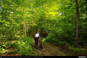 Trasee cu bicicleta MTB XC - Traseu MTB Cozia MTB 2014: Calimanesti - Serbanesti - Seaca - Babuesti - Jiblea Veche (concurs MTB) de Andrei Vocurek