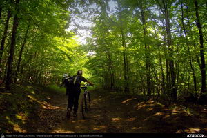 Trasee cu bicicleta MTB XC - Traseu MTB Cozia MTB 2014: Calimanesti - Serbanesti - Seaca - Babuesti - Jiblea Veche (concurs MTB) de Andrei Vocurek