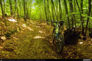 Trasee cu bicicleta MTB XC - Traseu MTB Cozia MTB 2014: Calimanesti - Serbanesti - Seaca - Babuesti - Jiblea Veche (concurs MTB) de Andrei Vocurek