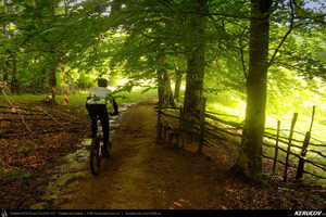 Trasee cu bicicleta MTB XC - Traseu MTB Cozia MTB 2014: Calimanesti - Serbanesti - Seaca - Babuesti - Jiblea Veche (concurs MTB) de Andrei Vocurek