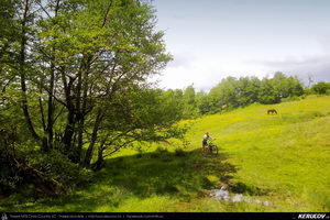Trasee cu bicicleta MTB XC - Traseu MTB Cozia MTB 2014: Calimanesti - Serbanesti - Seaca - Babuesti - Jiblea Veche (concurs MTB) de Andrei Vocurek