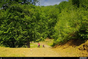 Trasee cu bicicleta MTB XC - Traseu MTB Cozia MTB 2014: Calimanesti - Serbanesti - Seaca - Babuesti - Jiblea Veche (concurs MTB) de Andrei Vocurek