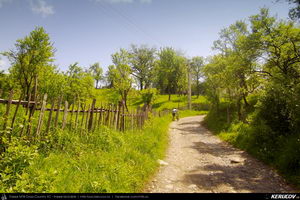 Trasee cu bicicleta MTB XC - Traseu MTB Cozia MTB 2014: Calimanesti - Serbanesti - Seaca - Babuesti - Jiblea Veche (concurs MTB) de Andrei Vocurek