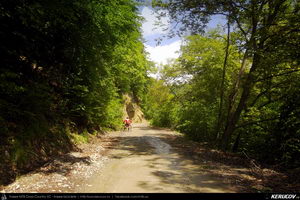 Trasee cu bicicleta MTB XC - Traseu MTB Cozia MTB 2014: Calimanesti - Serbanesti - Seaca - Babuesti - Jiblea Veche (concurs MTB) de Andrei Vocurek