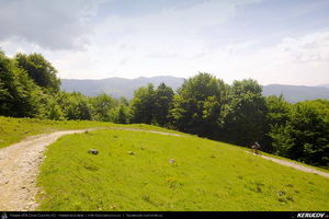 Trasee cu bicicleta MTB XC - Traseu MTB Cozia MTB 2014: Calimanesti - Serbanesti - Seaca - Babuesti - Jiblea Veche (concurs MTB) de Andrei Vocurek