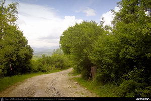 Trasee cu bicicleta MTB XC - Traseu MTB Cozia MTB 2014: Calimanesti - Serbanesti - Seaca - Babuesti - Jiblea Veche (concurs MTB) de Andrei Vocurek