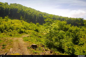 Trasee cu bicicleta MTB XC - Traseu MTB Cozia MTB 2014: Calimanesti - Serbanesti - Seaca - Babuesti - Jiblea Veche (concurs MTB) de Andrei Vocurek