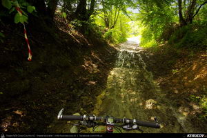 Trasee cu bicicleta MTB XC - Traseu MTB Cozia MTB 2014: Calimanesti - Serbanesti - Seaca - Babuesti - Jiblea Veche (concurs MTB) de Andrei Vocurek