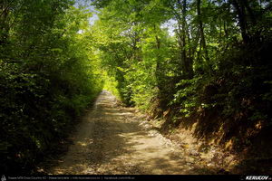 Trasee cu bicicleta MTB XC - Traseu MTB Cozia MTB 2014: Calimanesti - Serbanesti - Seaca - Babuesti - Jiblea Veche (concurs MTB) de Andrei Vocurek