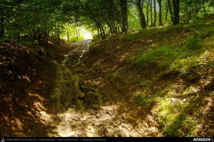 Trasee cu bicicleta MTB XC - Traseu MTB Cozia MTB 2014: Calimanesti - Serbanesti - Seaca - Babuesti - Jiblea Veche (concurs MTB) de Andrei Vocurek