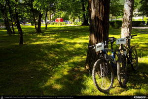 Trasee cu bicicleta MTB XC - Traseu MTB Cozia MTB 2014: Calimanesti - Serbanesti - Seaca - Babuesti - Jiblea Veche (concurs MTB) de Andrei Vocurek