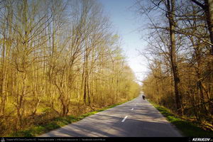 Trasee cu bicicleta MTB XC - Traseu MTB Ploiesti - Cosminele - Brebu - Pietriceaua - Zamfira - Ploiesti de Andrei Vocurek