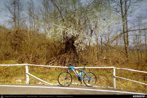 Trasee cu bicicleta MTB XC - Traseu MTB Ploiesti - Cosminele - Brebu - Pietriceaua - Zamfira - Ploiesti de Andrei Vocurek