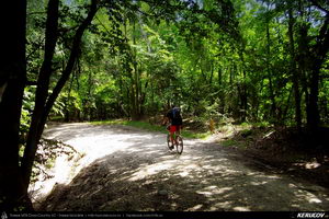 Trasee cu bicicleta MTB XC - Traseu MTB Curtea de Arges - Valea Danului - Cepari - Valea Babei - Goranu - Calimanesti de Andrei Vocurek
