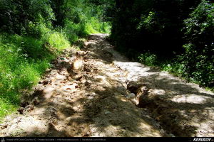 Trasee cu bicicleta MTB XC - Traseu MTB Curtea de Arges - Valea Danului - Cepari - Valea Babei - Goranu - Calimanesti de Andrei Vocurek