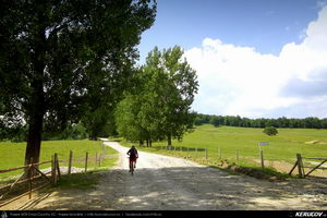 Trasee cu bicicleta MTB XC - Traseu MTB Curtea de Arges - Valea Danului - Cepari - Valea Babei - Goranu - Calimanesti de Andrei Vocurek