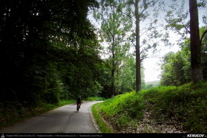 Trasee cu bicicleta MTB XC - Traseu MTB Curtea de Arges - Valea Danului - Cepari - Valea Babei - Goranu - Calimanesti de Andrei Vocurek