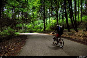 Trasee cu bicicleta MTB XC - Traseu MTB Curtea de Arges - Valea Danului - Cepari - Valea Babei - Goranu - Calimanesti de Andrei Vocurek