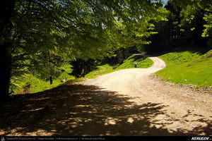 Trasee cu bicicleta MTB XC - Traseu MTB Predeal - Poiana Secuilor - Cheile Rasnoavei - Paraul Rece - Predeal de Andrei Vocurek