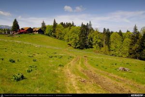 Trasee cu bicicleta MTB XC - Traseu MTB Predeal - Poiana Secuilor - Cheile Rasnoavei - Paraul Rece - Predeal de Andrei Vocurek