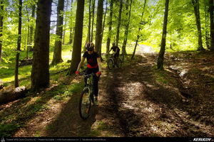 Trasee cu bicicleta MTB XC - Traseu MTB Predeal - Poiana Secuilor - Cheile Rasnoavei - Paraul Rece - Predeal de Andrei Vocurek