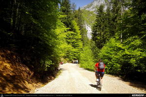 Trasee cu bicicleta MTB XC - Traseu MTB Predeal - Poiana Secuilor - Cheile Rasnoavei - Paraul Rece - Predeal de Andrei Vocurek