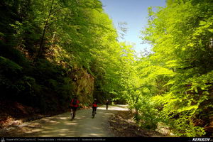Trasee cu bicicleta MTB XC - Traseu MTB Predeal - Poiana Secuilor - Cheile Rasnoavei - Paraul Rece - Predeal de Andrei Vocurek