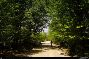 Trasee cu bicicleta MTB XC - Traseu MTB Predeal - Poiana Secuilor - Cheile Rasnoavei - Paraul Rece - Predeal de Andrei Vocurek