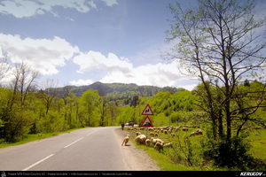 Trasee cu bicicleta MTB XC - Traseu MTB Predeal - Poiana Secuilor - Cheile Rasnoavei - Paraul Rece - Predeal de Andrei Vocurek