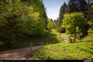Trasee cu bicicleta MTB XC - Traseu MTB Predeal - Poiana Secuilor - Cheile Rasnoavei - Paraul Rece - Predeal de Andrei Vocurek