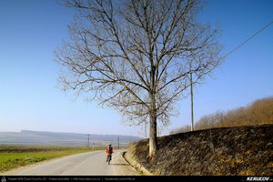 Trasee cu bicicleta MTB XC - Traseu MTB Rupea Gara - Homorod - Rupea - Dacia - Viscri - Bunesti - Crit de Andrei Vocurek
