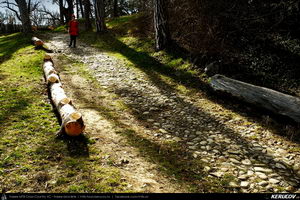 Trasee cu bicicleta MTB XC - Traseu MTB Rupea Gara - Homorod - Rupea - Dacia - Viscri - Bunesti - Crit de Andrei Vocurek