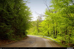 Trasee cu bicicleta MTB XC - Traseu MTB Oravita - Bozovici - Petnic - Mehadia - Baile Herculane (Banatul Montan / Cheile Minisului - Cascada Bigar) de Andrei Vocurek