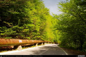 Trasee cu bicicleta MTB XC - Traseu MTB Oravita - Bozovici - Petnic - Mehadia - Baile Herculane (Banatul Montan / Cheile Minisului - Cascada Bigar) de Andrei Vocurek