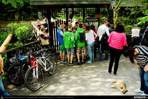 Trasee cu bicicleta MTB XC - Traseu MTB Oravita - Bozovici - Petnic - Mehadia - Baile Herculane (Banatul Montan / Cheile Minisului - Cascada Bigar) de Andrei Vocurek