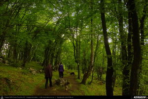Trasee cu bicicleta MTB XC - Traseu MTB Orsova - Eselnita - Dubova - Svinita - Berzasca - Coronini (Clisura Dunarii / Portile de Fier - Cazanele Dunarii) de Andrei Vocurek