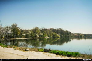 Trasee cu bicicleta MTB XC - Traseu MTB Bucuresti - Branesti - Islaz - Belciugatele - Candeasca (Cu bicicleta la tara - Balta Belciugatele) de Andrei Vocurek