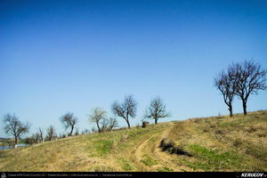Trasee cu bicicleta MTB XC - Traseu MTB Bucuresti - Branesti - Islaz - Belciugatele - Candeasca (Cu bicicleta la tara - Balta Belciugatele) de Andrei Vocurek