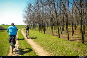 Trasee cu bicicleta MTB XC - Traseu MTB Bucuresti - Branesti - Islaz - Belciugatele - Candeasca (Cu bicicleta la tara - Balta Belciugatele) de Andrei Vocurek