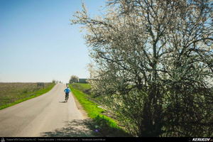 Trasee cu bicicleta MTB XC - Traseu MTB Bucuresti - Branesti - Islaz - Belciugatele - Candeasca (Cu bicicleta la tara - Balta Belciugatele) de Andrei Vocurek