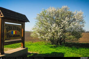 Trasee cu bicicleta MTB XC - Traseu MTB Bucuresti - Branesti - Islaz - Belciugatele - Candeasca (Cu bicicleta la tara - Balta Belciugatele) de Andrei Vocurek