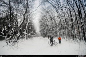 Trasee cu bicicleta MTB XC - Traseu MTB Bucuresti - Pipera - Voluntari - Padurea Boldu Cretuleasca de Andrei Vocurek