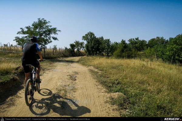 Traseu cu bicicleta MTB XC Campina Open MTB 2015: Platoul Muscel - Dealul Voila - Plaiu Campinei - Valea Oprii - Cornu - Platoul Muscel (concurs MTB) - KERUCOV .ro © 2007 - 2025 || #traseecubicicleta #mtb #ssp