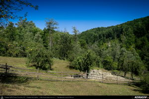 Trasee cu bicicleta MTB XC - Traseu MTB Campina Open MTB 2015: Platoul Muscel - Dealul Voila - Plaiu Campinei - Valea Oprii - Cornu - Platoul Muscel (concurs MTB) de Andrei Vocurek