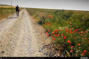 Trasee cu bicicleta MTB XC - Traseu MTB Cernavoda - Capidava - Pantelimon - Targusor - Mihail Kogalniceanu - Medgidia (Cetatea Capidava si Cetatea Ulmetum) de Andrei Vocurek