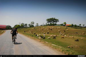 Trasee cu bicicleta MTB XC - Traseu MTB Cernavoda - Capidava - Pantelimon - Targusor - Mihail Kogalniceanu - Medgidia (Cetatea Capidava si Cetatea Ulmetum) de Andrei Vocurek