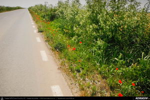 Trasee cu bicicleta MTB XC - Traseu MTB Cernavoda - Capidava - Pantelimon - Targusor - Mihail Kogalniceanu - Medgidia (Cetatea Capidava si Cetatea Ulmetum) de Andrei Vocurek