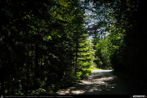 Trasee cu bicicleta MTB XC - Traseu MTB Muntii Capatanii: Petrimanu - Curmatura Oltetului - Polovragi - Horezu - Tomsani - Babeni (Lacul Petrimanu - Lacul Galbenu - Pasul Curmatura Oltetului - Cheile Oltetului) de Andrei Vocurek